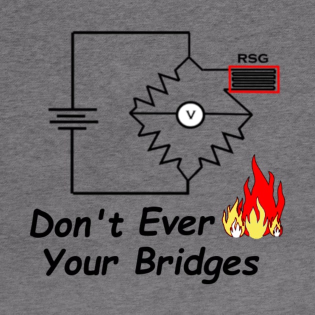 Strain Gauge Bridge by Phystonelife